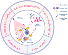 Graphical abstract: SERS in 3D cell models: a powerful tool in cancer research