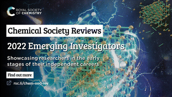 Graphical abstract: Contributors to the 2022 Emerging Investigators collection