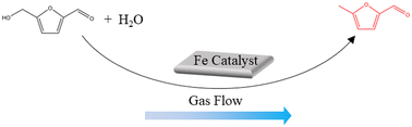Graphical abstract: Hydrogenolysis of 5-hydroxymethylfurfural by in situ produced hydrogen from water on an iron catalyst