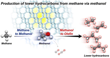 Graphical abstract: Impacts of framework Al distribution and acidic properties of Cu-exchanged CHA-type zeolite on catalytic conversion of methane into methanol followed by lower hydrocarbons