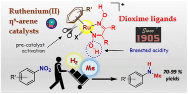 Graphical abstract: Ruthenium(ii) arene complexes bearing simple dioxime ligands: effective catalysts for the one-pot transfer hydrogenation/N-methylation of nitroarenes with methanol
