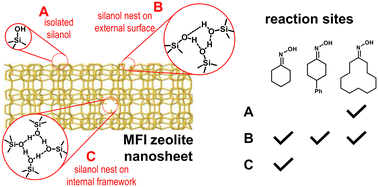 Graphical abstract: Surface silanol sites in mesoporous MFI zeolites for catalytic Beckmann rearrangement