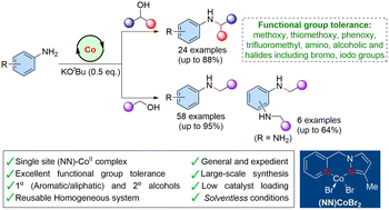Graphical abstract: A general and expedient amination of alcohols catalysed by a single-site (NN)Co(ii)-bidentate complex under solventless conditions
