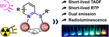 Graphical abstract: A family of CuI-based 1D polymers showing colorful short-lived TADF and phosphorescence induced by photo- and X-ray irradiation