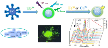 Graphical abstract: A ratiometric luminescence sensing platform based on lanthanide-based silica nanoparticles for selective and sensitive detection of Fe3+ and Cu2+ ions