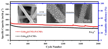 Graphical abstract: CoSe2 nanoparticles anchored on dual 1D carbon nanotubes/N-doped carbon nanofibers as high-performance anodes for sodium-ion storage