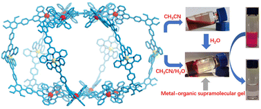 Graphical abstract: A 5.3 nm giant metal–organic cage and its supramolecular gel for the formation of dye molecular ionic pairs
