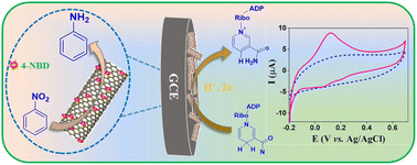 Graphical abstract: Electrochemical sensing of NADH using 4-nitrobenzenediazonium tetrafluoroborate salt functionalized multiwalled carbon nanotubes