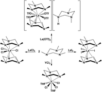 Graphical abstract: Trimethyltriazacyclohexane coordination chemistry of simple rare-earth metal salts