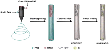 Graphical abstract: Carbon nanotube-embedded hollow carbon nanofibers as efficient hosts for advanced lithium–sulfur batteries