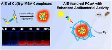 Graphical abstract: Cu(i) complexes with aggregation-induced emission for enhanced photodynamic antibacterial application