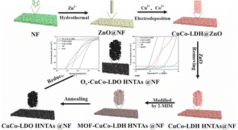 Graphical abstract: Structure and oxygen vacancy engineered CuCo-layered double oxide nanotube arrays as advanced bifunctional electrocatalysts for overall water splitting