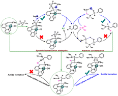 Graphical abstract: Mechanistic insights into amide formation from aryl epoxides and amines catalyzed by ruthenium pincer complexes: a DFT study