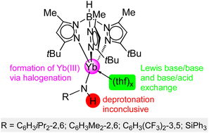 Graphical abstract: Potential precursors for terminal ytterbium(ii) imide complexes bearing the hydrotris(3-tert-butyl-5-methylpyrazolyl)borato ligand