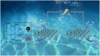 Graphical abstract: Tentacle-like core–shell CoNi2S4/C3N4 bifunctional electrocatalysts for efficient overall alkaline water splitting