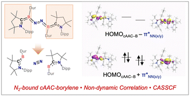 Graphical abstract: Revisiting the electronic structure of N2-bound cAAC-borylene at the CASSCF level: a detailed bonding picture of borylene–N2 interaction