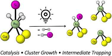 Graphical abstract: Photochemically generated reactive sites at ruthenium/gallium complexes: catalysis vs. cluster growth