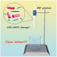 Graphical abstract: Cellulose nanocrystal/halloysite nanotube composite aerogels for water purification