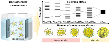 Graphical abstract: Elucidation of the electronic structures of thiolate-protected gold nanoclusters by electrochemical measurements