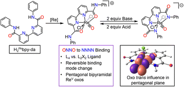Graphical abstract: Synthesis and bonding analysis of pentagonal bipyramidal rhenium carboxamide oxo complexes