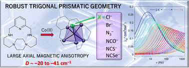 Graphical abstract: Trigonal prismatic coordination geometry imparted by a macrocyclic ligand: an approach to large axial magnetic anisotropy for Co(ii)
