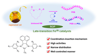 Graphical abstract: Efficient and well-controlled ring opening polymerization of biobased ethylene brassylate by α-diimine FeCl3 catalysts via a coordination–insertion mechanism