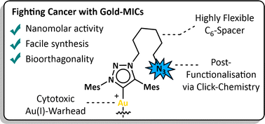 Graphical abstract: Exploiting click-chemistry: backbone post-functionalisation of homoleptic gold(i) 1,2,3-triazole-5-ylidene complexes