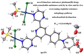 Graphical abstract: Synthesis and anticancer mechanisms of four novel platinum(ii) 4′-substituted-2,2′:6′,2′′-terpyridine complexes