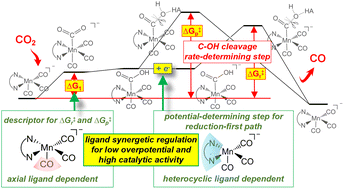 Graphical abstract: Mechanistic insights of electrocatalytic CO2 reduction by Mn complexes: synergistic effects of the ligands