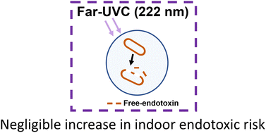 Graphical abstract: Negligible increase in indoor endotoxin activity by 222 nm far-UVC illumination on bioaerosols