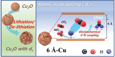 Graphical abstract: Copper with an atomic-scale spacing for efficient electrocatalytic co-reduction of carbon dioxide and nitrate to urea
