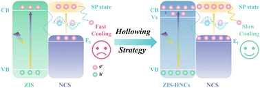 Graphical abstract: Efficient interfacial electron transfer induced by hollow-structured ZnIn2S4 for extending hot electron lifetimes