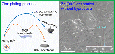 Graphical abstract: MOF nanosheets as ion carriers for self-optimized zinc anodes