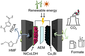 Graphical abstract: A coupled electrocatalytic system with reduced energy input for CO2 reduction and biomass valorization
