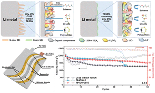 Graphical abstract: Towards durable practical lithium–metal batteries: advancing the feasibility of poly-DOL-based quasi-solid-state electrolytes via a novel nitrate-based additive