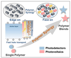 Graphical abstract: Polymer synergy for efficient hole transport in solar cells and photodetectors