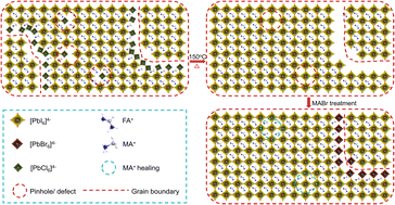 Graphical abstract: Crystallization dynamics and stabilization of FAPbI3 single-phase perovskite
