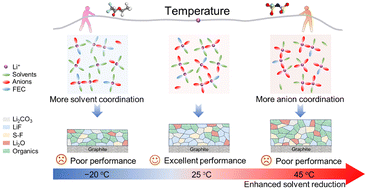 Graphical abstract: Unraveling the temperature-responsive solvation structure and interfacial chemistry for graphite anodes