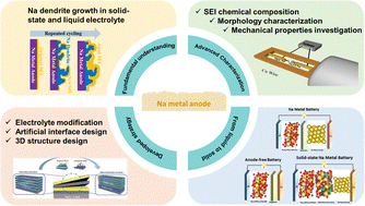Graphical abstract: Na metal anodes for liquid and solid-state Na batteries