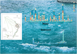 Graphical abstract: Occurrence, distribution and environmental risk of 19 anthelmintic drugs in river water and sediment from the Jinjiang River, China