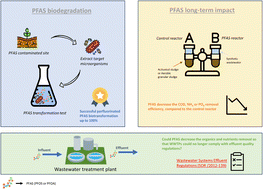 Graphical abstract: Impact of perfluorooctanoic acid (PFOA) and perfluorooctane sulfonic acid (PFOS) on secondary sludge microorganisms: removal, potential toxicity, and their implications on existing wastewater treatment regulations in Canada