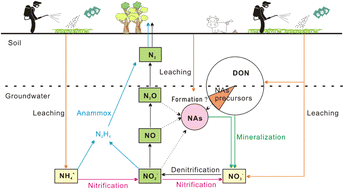 Graphical abstract: Impact of agricultural activities on the occurrence of N-nitrosamines in an aquatic environment