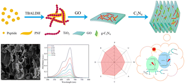 Graphical abstract: Structural design, biomimetic synthesis, and environmental sustainability of graphene-supported g-C3N4/TiO2 hetero-aerogels