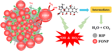 Graphical abstract: Effective heterogeneous Fenton-like degradation of antibiotics by ferroferric oxide nanoparticle coated reduced iron powder with accelerated Fe(ii)/Fe(iii) redox cycling