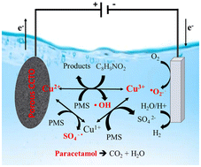 Graphical abstract: Porous calcium copper titanate electrodes for paracetamol degradation by electro-oxidation via CuO-induced peroxymonosulfate activation