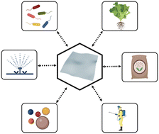 Graphical abstract: Prospects of 2D graphene nanomaterials in plant-based agriculture and their fate in terrestrial soil: a critical review