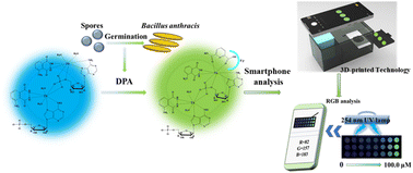 Graphical abstract: Portable visual assay for anthrax biomarker based on lanthanide coordination polymer nanoparticles and smartphone-integrated mini-device