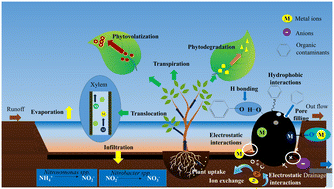 Graphical abstract: Biofilters and bioretention systems: the role of biochar in the blue-green city concept for stormwater management