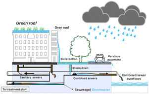 Graphical abstract: Modeling the hydrological benefits of green roof systems: applications and future needs