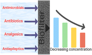 Graphical abstract: Application of biofilters developed under different influent characteristics in attenuating emerging contaminants from wastewater